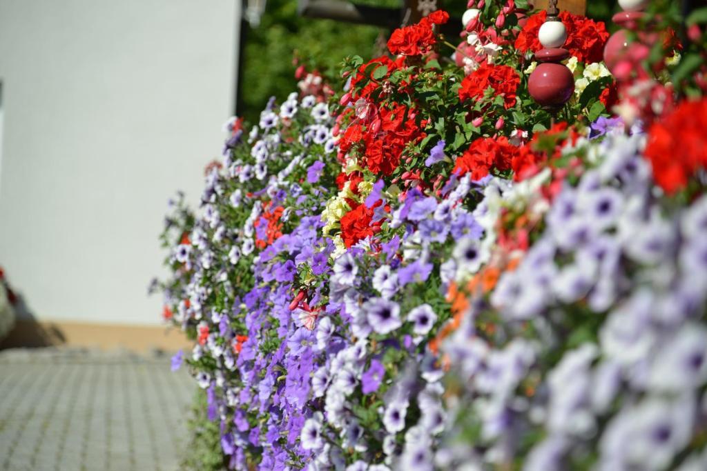 Landhaus Waldfrieden Tengen ภายนอก รูปภาพ